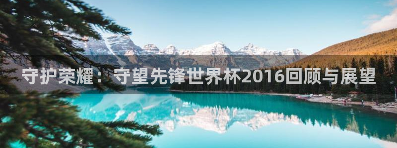 英格兰联赛杯直播：守护荣耀：守望先锋世界杯2016回顾与展望