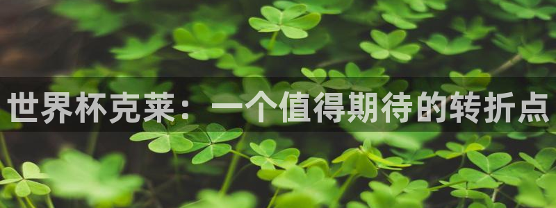 世界杯亚洲区预选赛：世界杯克莱：一个值得期待的转折点