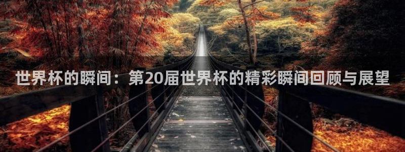 2026世界杯日期：世界杯的瞬间：第20届世界杯的精彩瞬间回顾与展望