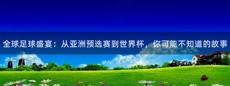 世界杯预选赛亚洲：全球足球盛宴：从亚洲预选赛到世界杯，你可能不知道的故事