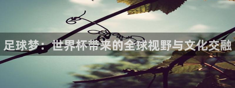2026世界杯对阵图：足球梦：世界杯带来的全球视野与文化交融
