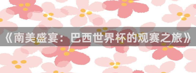 世界杯预选赛亚洲区赛程：《南美盛宴：巴西世界杯的观赛之旅》