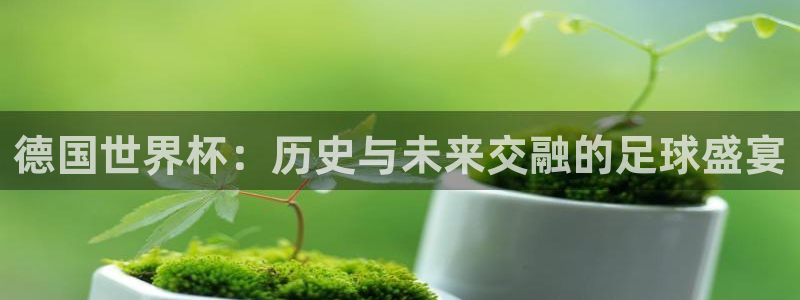 2026世界杯小组赛赛程时间表：德国世界杯：历史与未来交融的足球盛宴