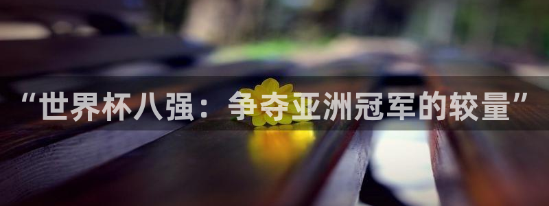 世界杯2026预选赛：“世界杯八强：争夺亚洲冠军的较量”
