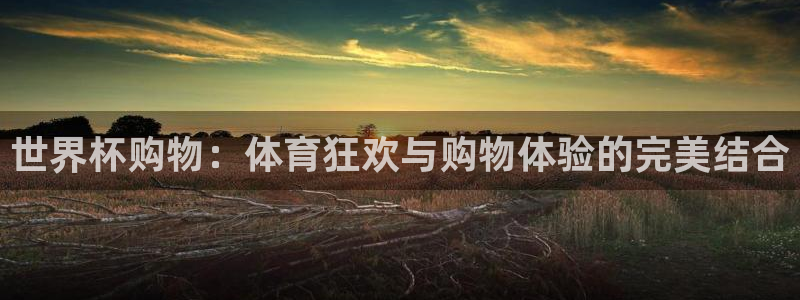 欧洲世界杯预选赛：世界杯购物：体育狂欢与购物体验的完美结合