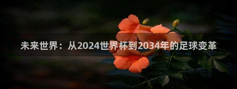 2026足球世界杯赛程：未来世界：从2024世界杯到2034年的足球变革
