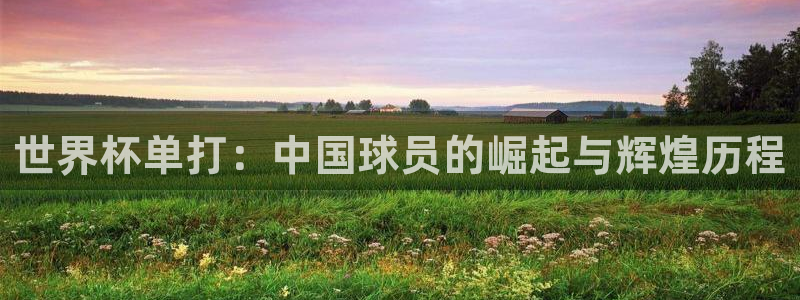 世界杯预选赛亚洲区积分榜：世界杯单打：中国球员的崛起与辉煌历程